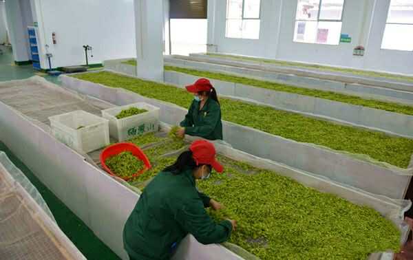 1515490649683171.jpg 701389571542672442.jpg